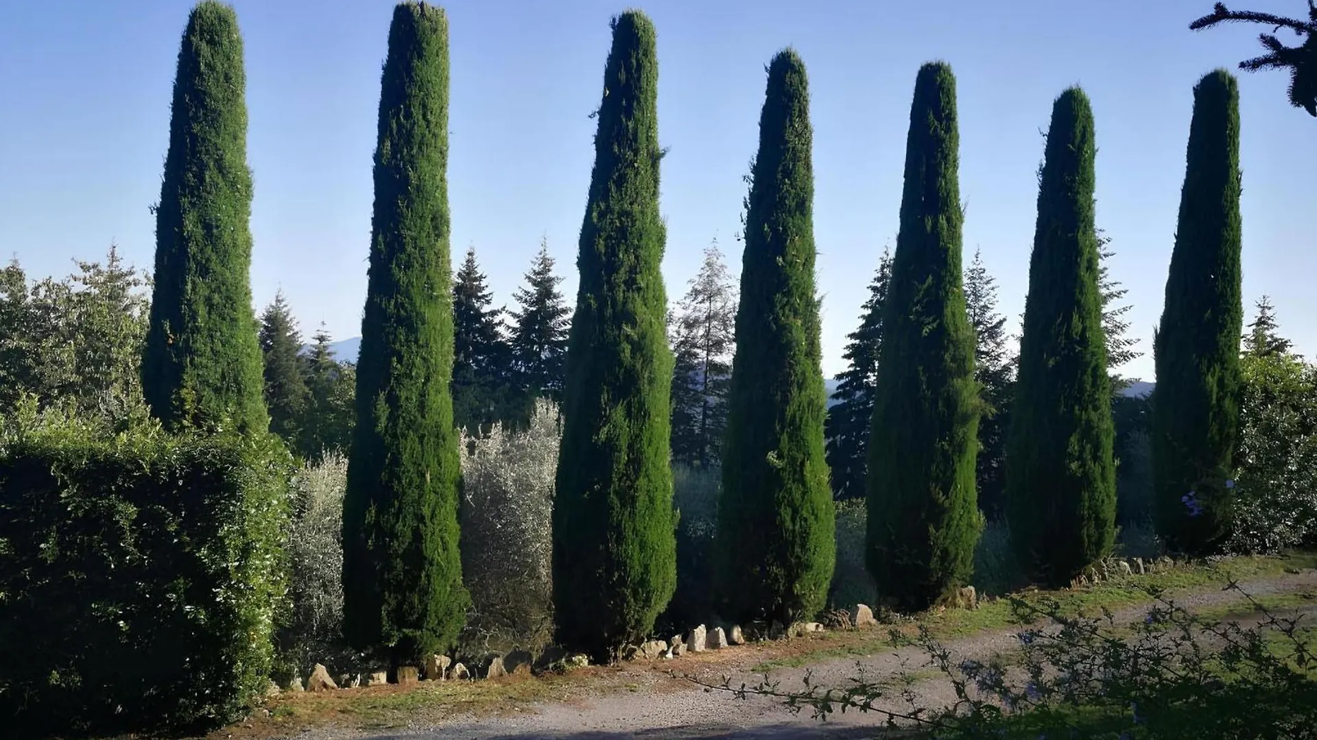 Holiday home Casa Marconi Villa Vetriano